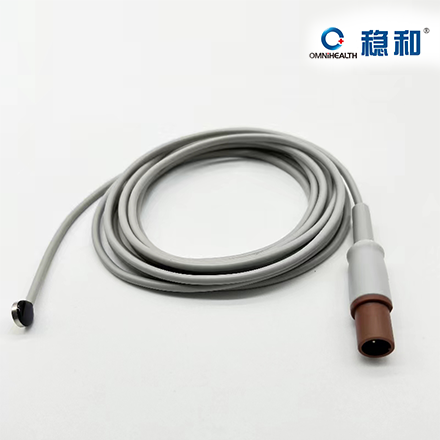 体表